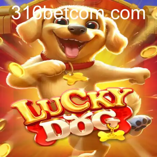 LuckyDog: Um Jogo de Azar e Estratégia